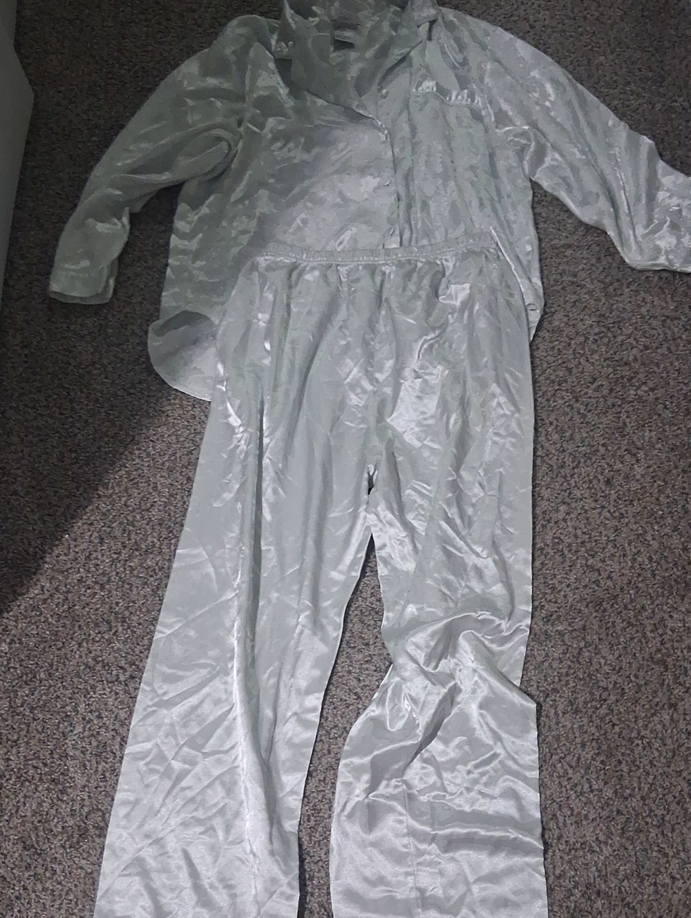 Silky Button-Front Pajama Set in Light Silver
